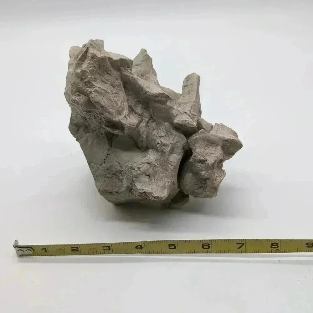 Unique Oreodont Fossil Vertebrae  in Matrix amazing display piece - Picture 6 of 7